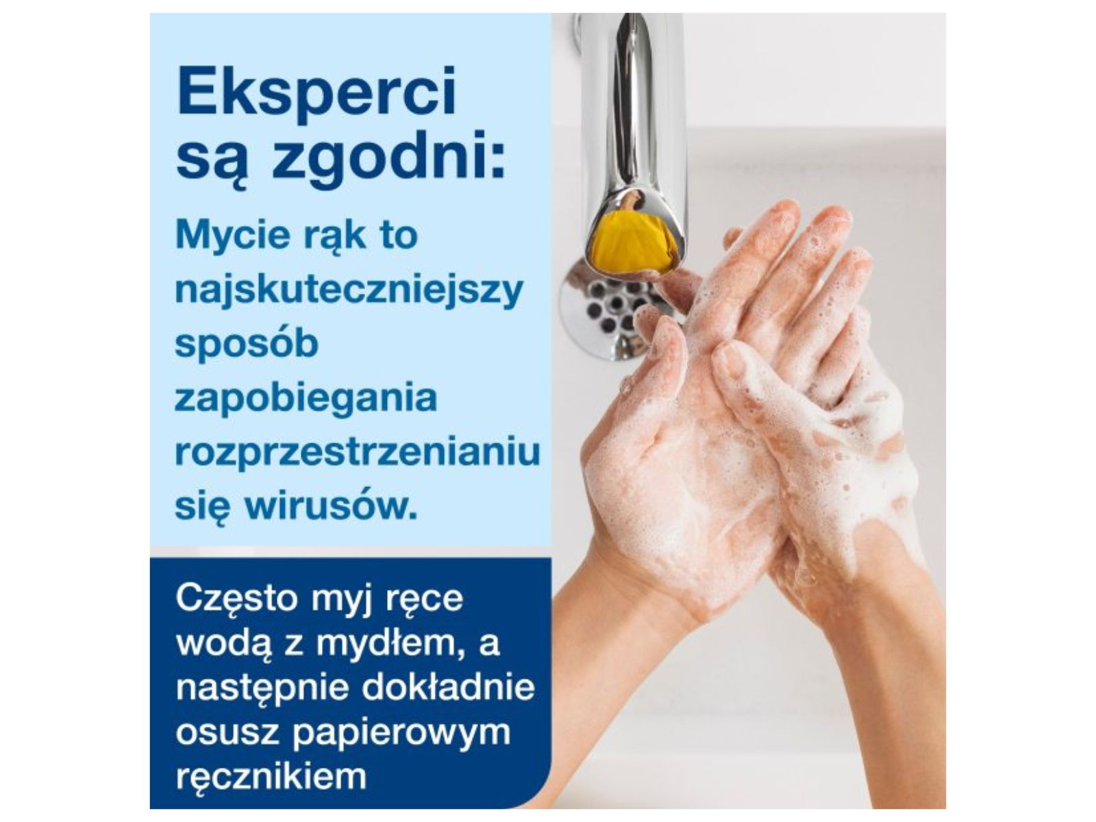 Mydło TORK 420501 S1 Mild Delikatne Karton 6x 1l